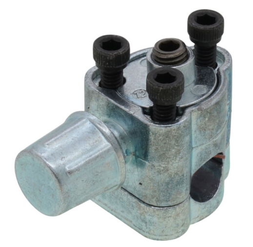 BPV31